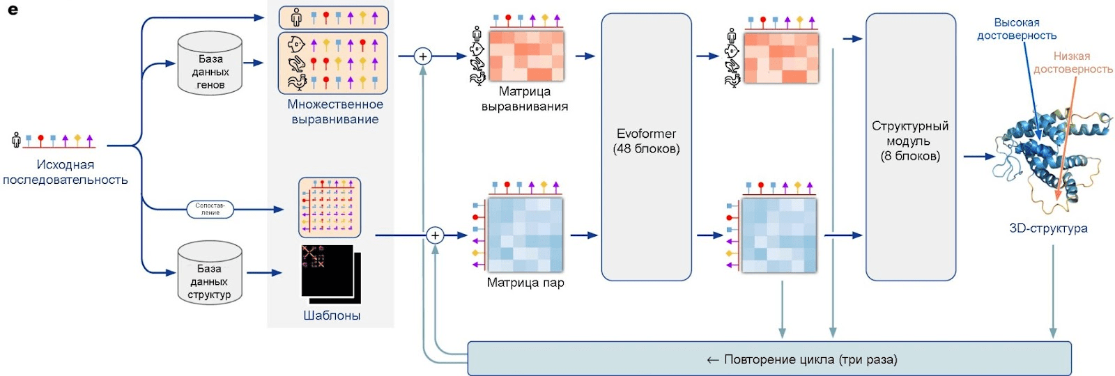 Принцип работы AlphaFold 2