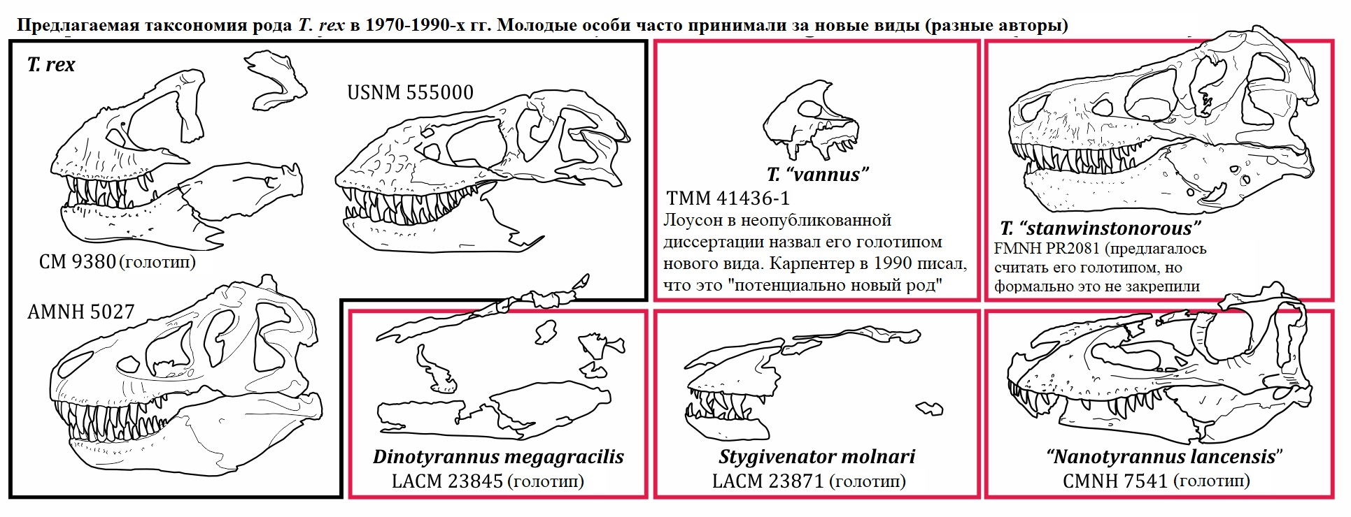 Остатки тираннозавров