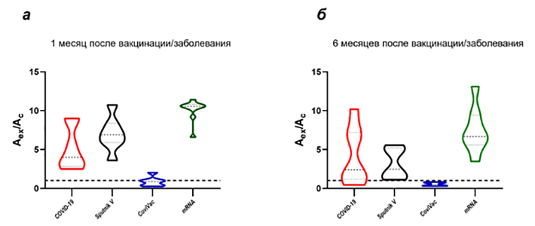 Уровень антител к RBD S-белка через месяц (а) и через полгода (б)