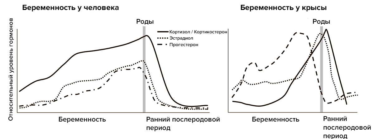 Изменения уровней гормонов во время беременности и вскоре после родов