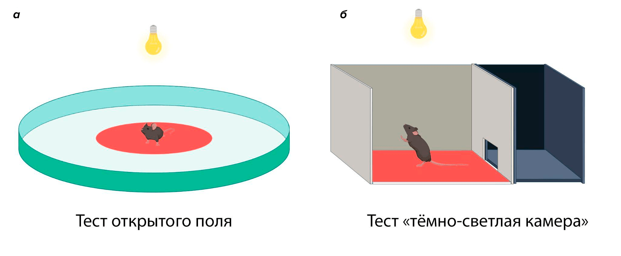 Схематическое изображение тестов