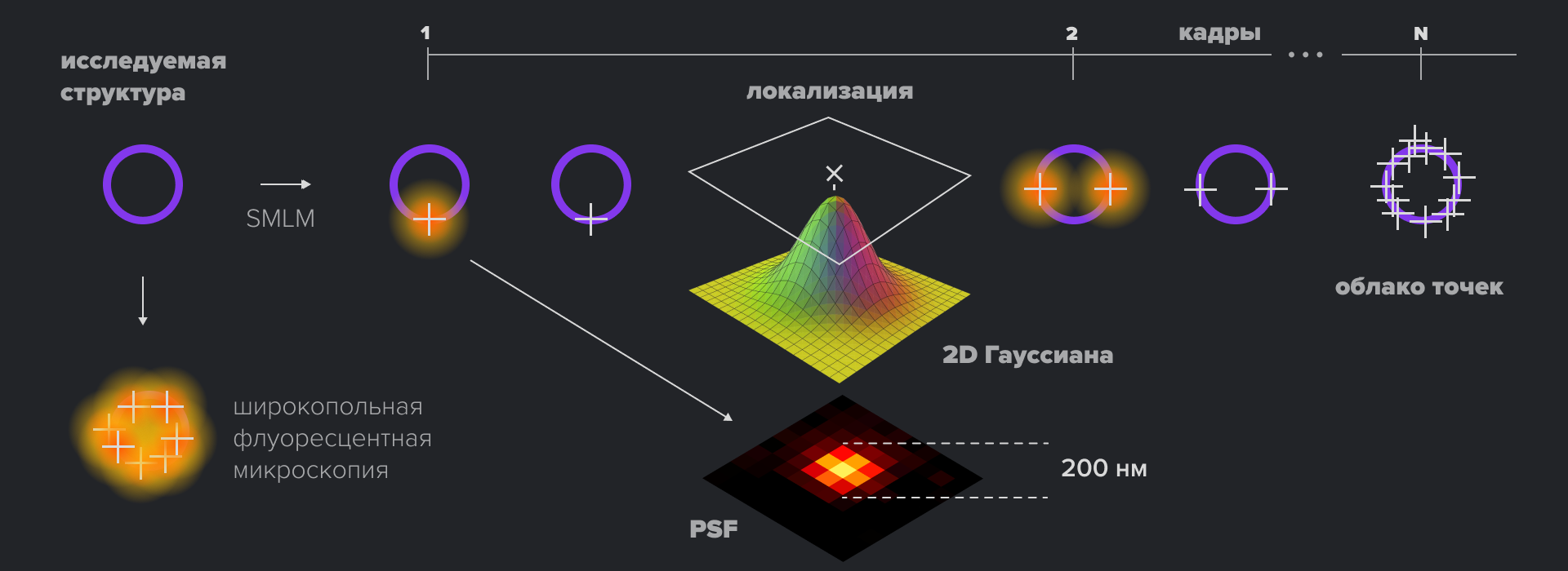 Принцип получения изображений с помощью SMLM