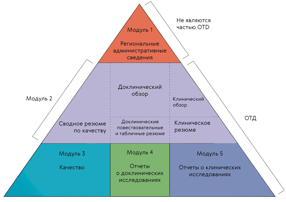 Треугольник CTD