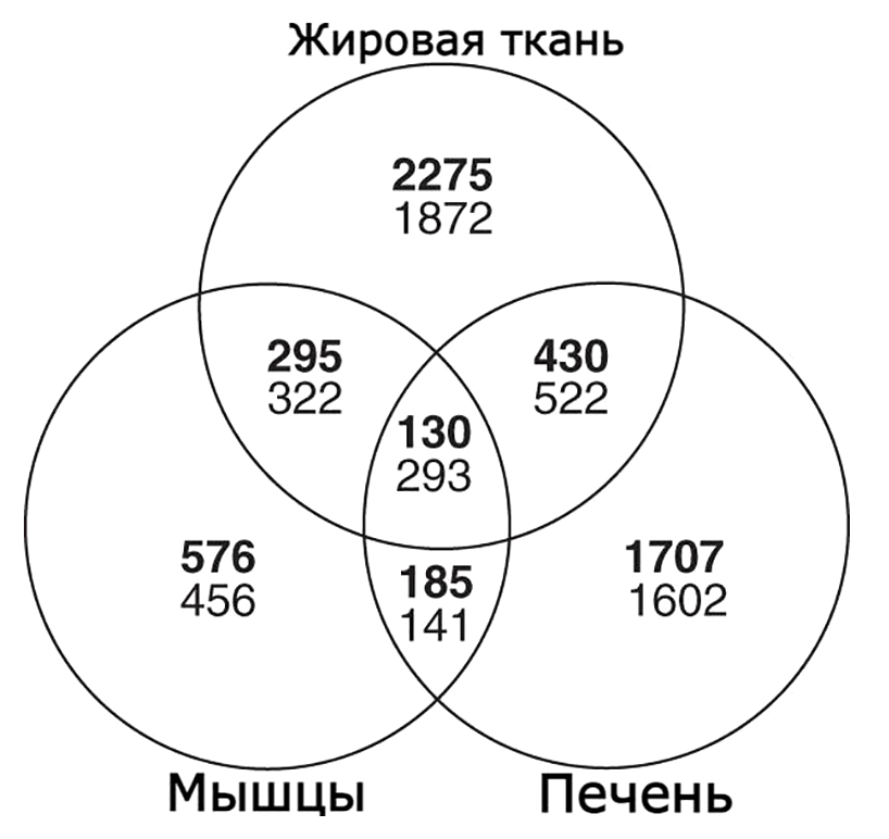 Отличия в экспрессии генов во время бодрствования и спячки у медведей гризли