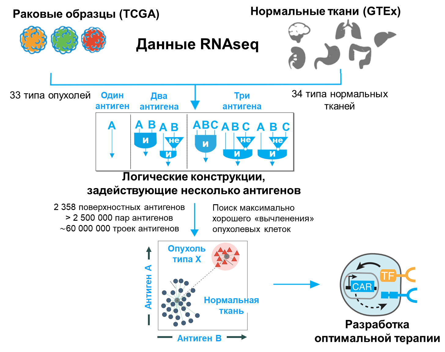 Бионформатический подбор антигенов для иммунотерапии опухолей