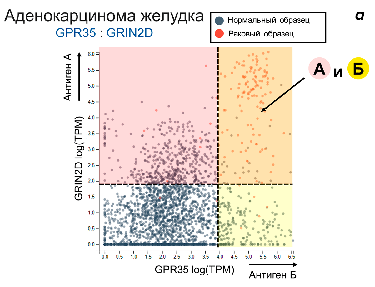 Примеры перспективных стратегий программирования умных Т-лимфоцитов