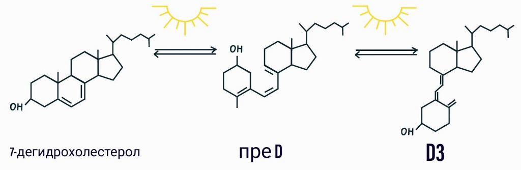 Реакции синтеза кальцитриола из 7-дегидрохолестерола