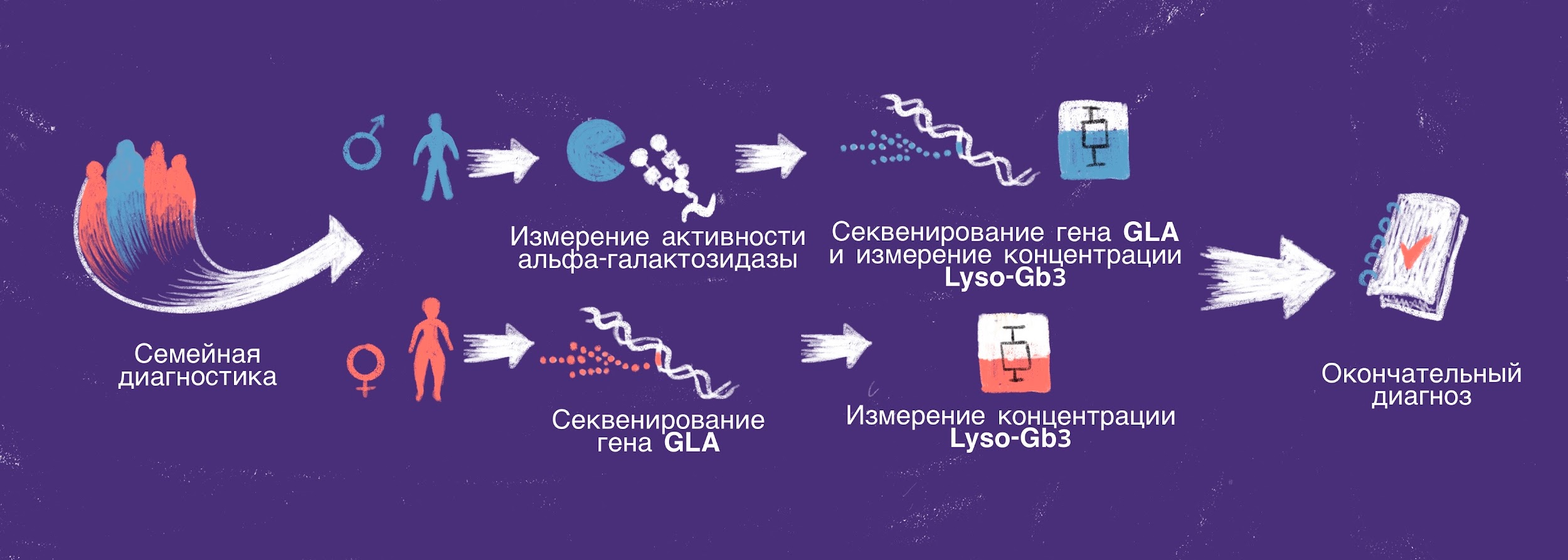 Логика организации диагностических мероприятий для выявления болезни Фабри