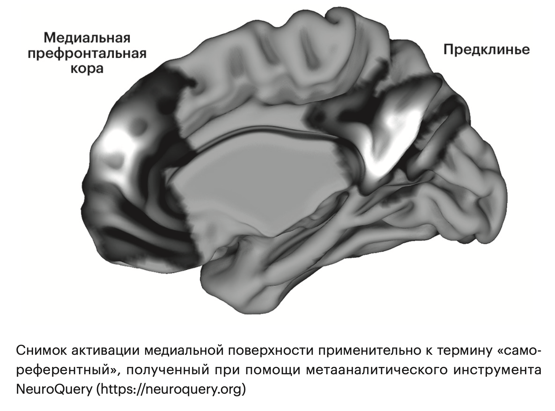 Иллюстрация из книги