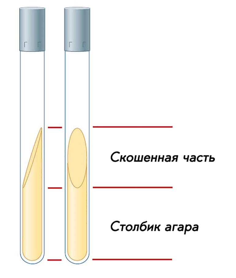 Агар в пробирке