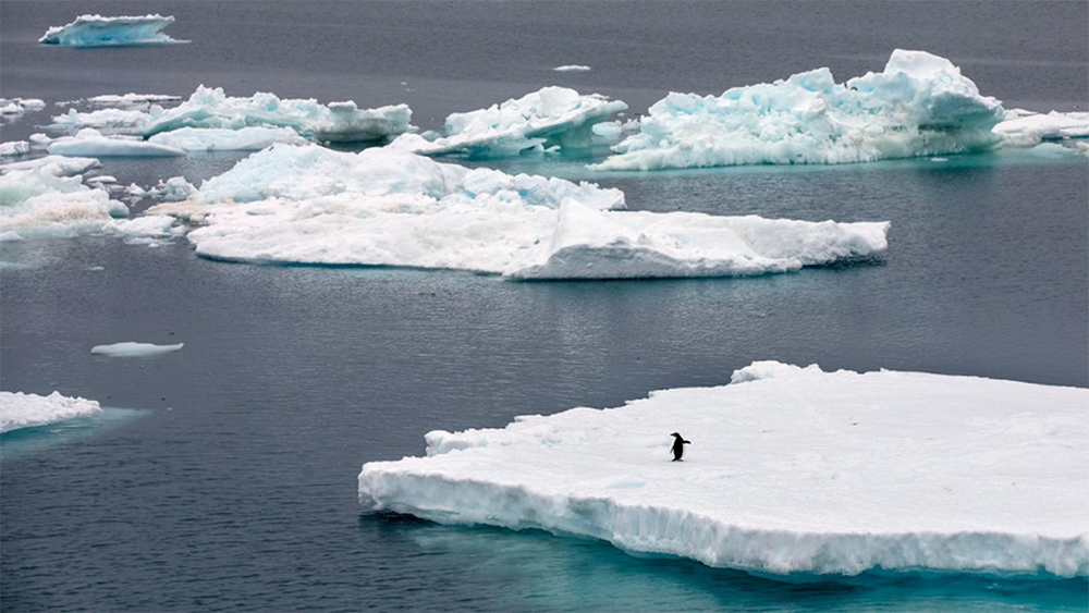 На фото: плотные соленые воды моря Уэдделла способствуют глубокой циркуляции Южного океана