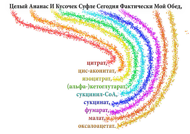 Еще одна прибаутка для цикла Кребса