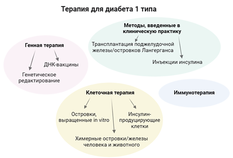 Методы терапии сахарного диабета 1 типа