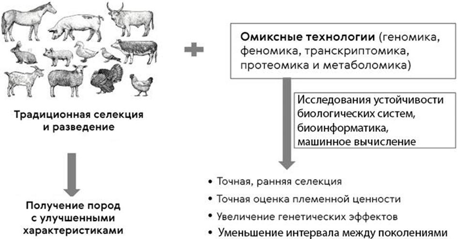 Как омиксные технологии помогают селекции животных