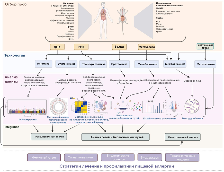 Омиксный анализ, применяемый для изучения пищевой аллергии
