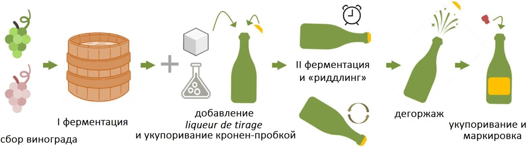 Схематическое изображение производства игристого вина традиционным методом «шампанизации»