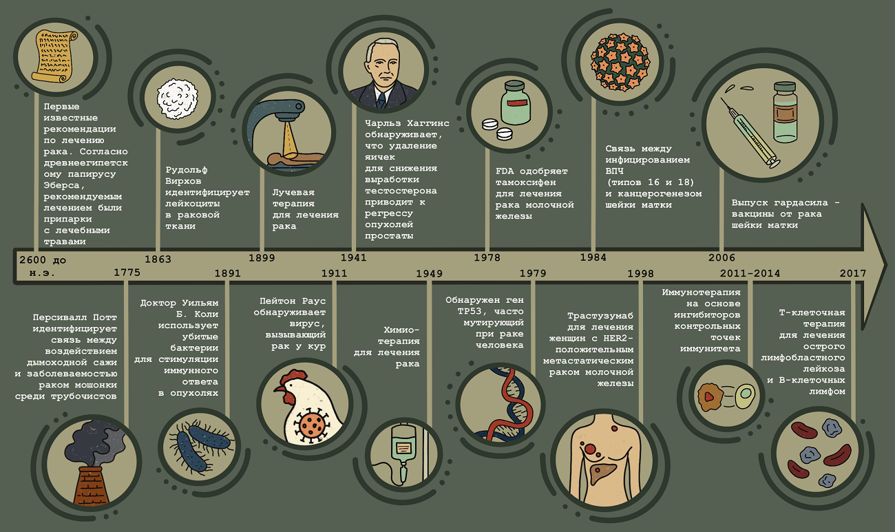 Основные вехи в исследовании и лечении рака