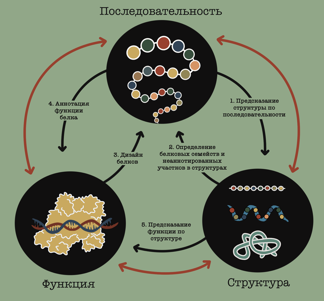 Центральная догма молекулярной биофизики