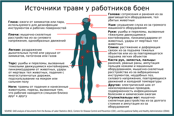 В отчете Human Rights Watch упаковка мяса также названа «одной из самых опасных фабричных работ в Америке…»