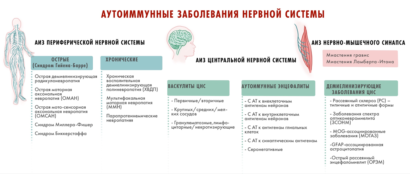 Классификация аутоиммунных заболеваний нервной системы