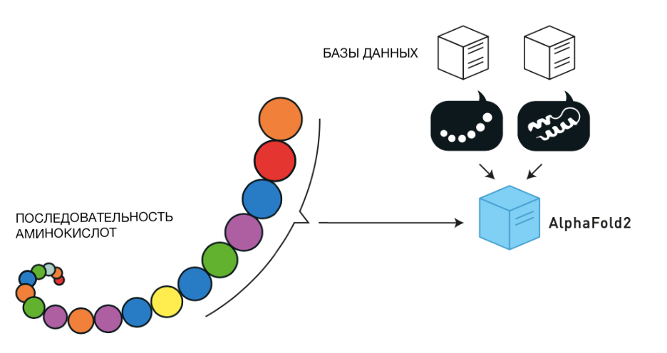 Первый этап работы AlphaFold 2: «глубокие» базы данных