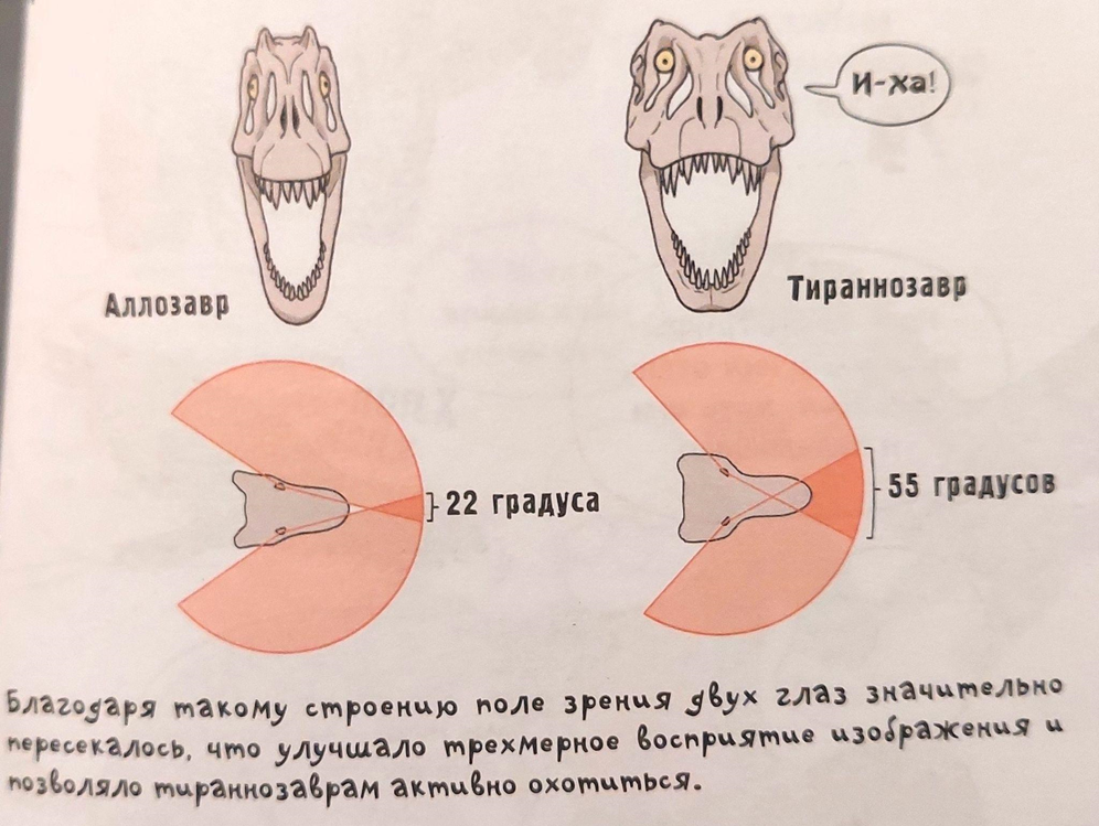 Иллюстрация из книги