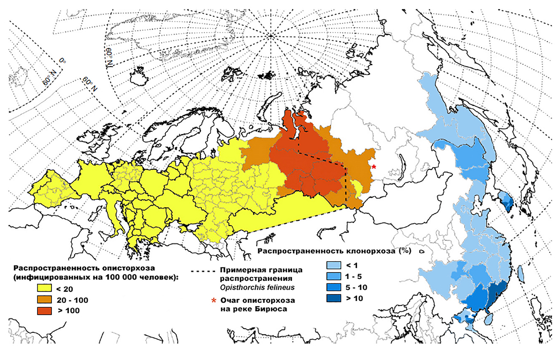 Распространенность описторхоза