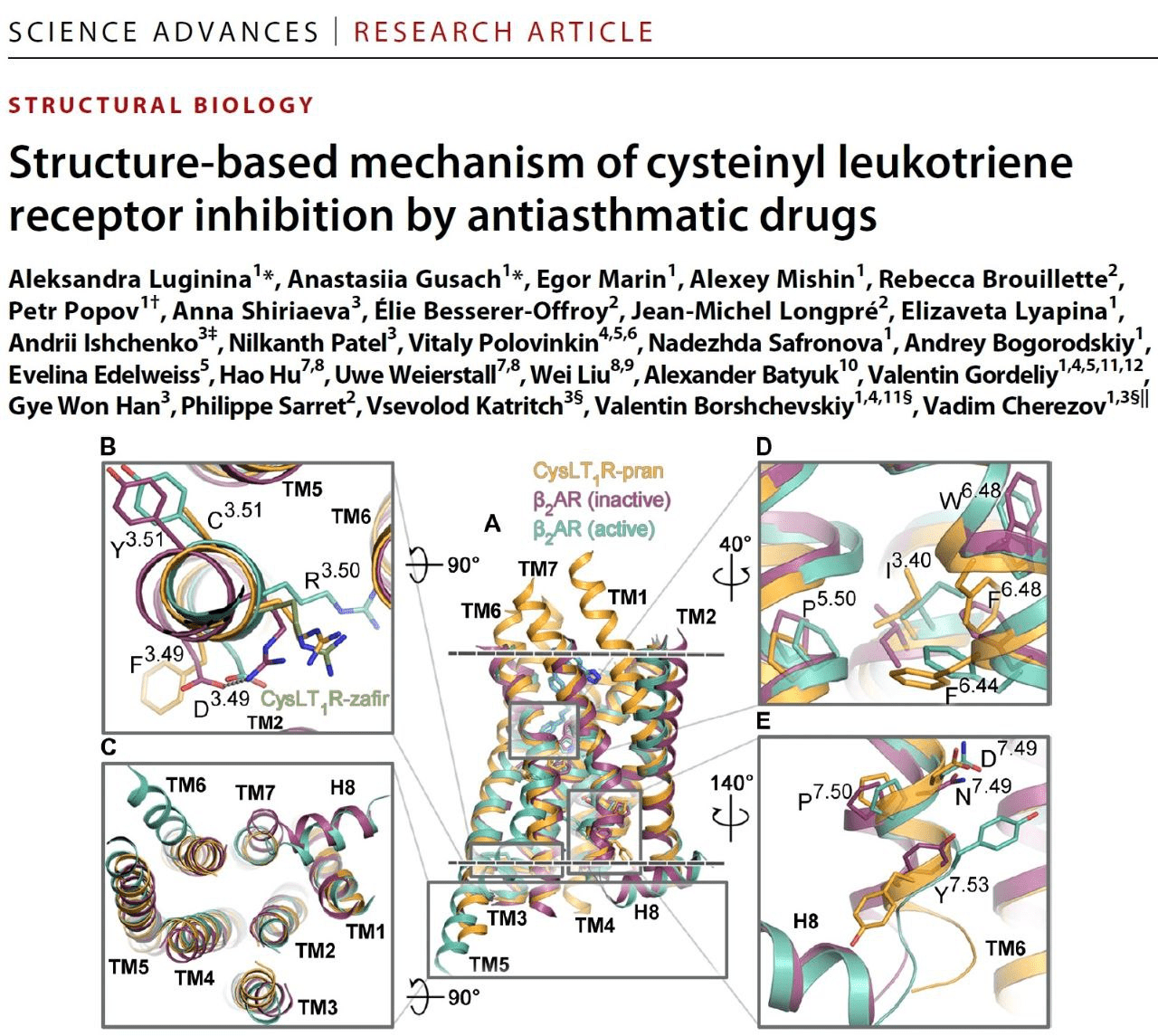 Анонс статьи по получению пространственной структуры цистеинил-лейкотриенового рецептора первого типа