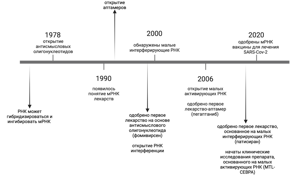 Хронология важных открытий в мире РНК-технологий