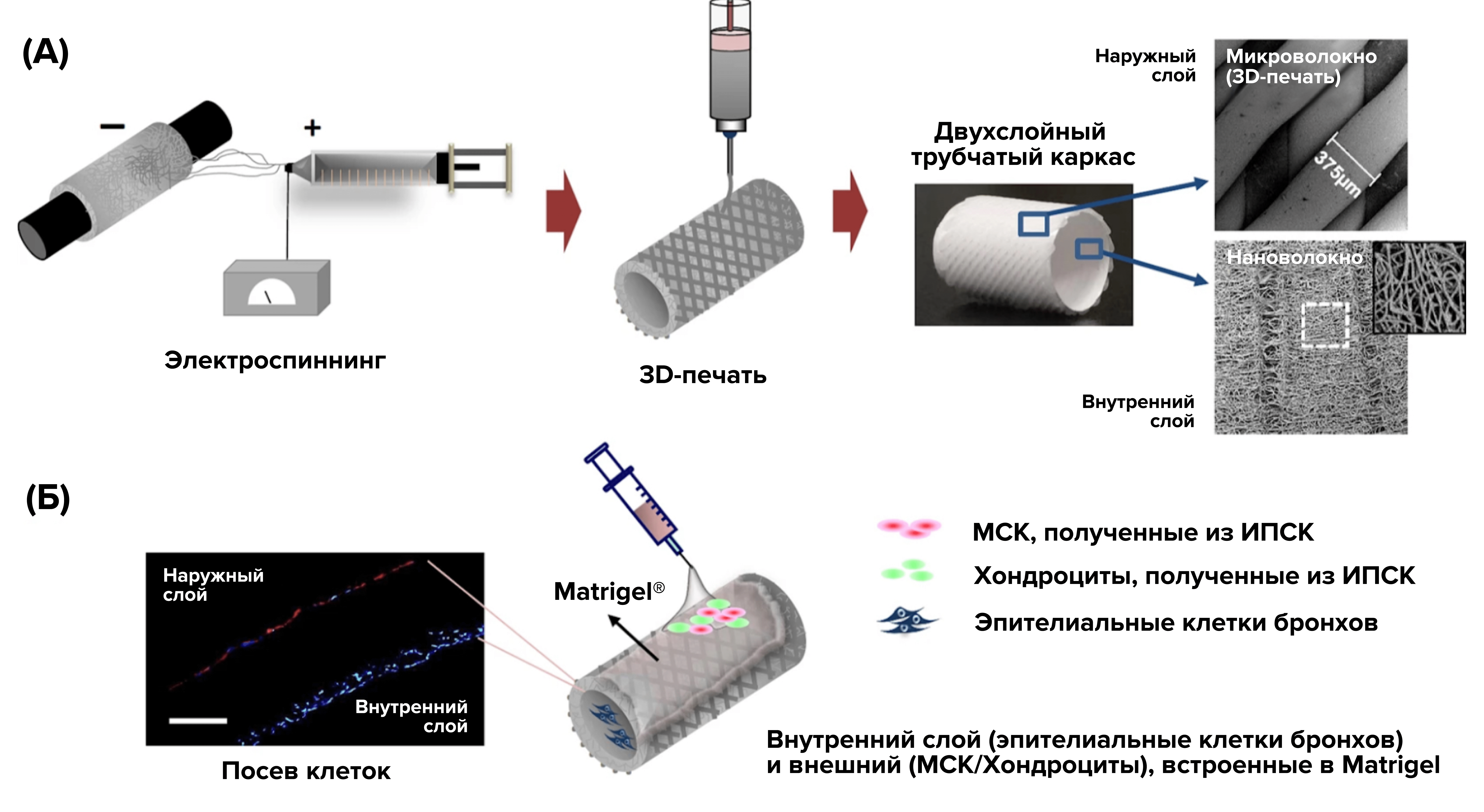 Рисунок 4.