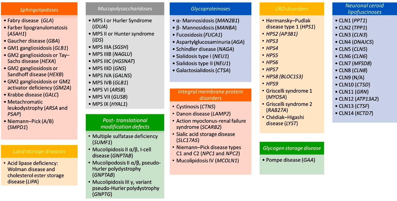 Классификация лизосомных болезней накопления