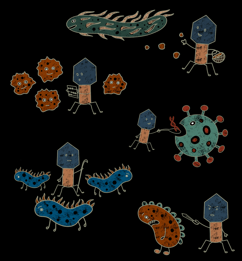 Загадочный мир бактериофагов
