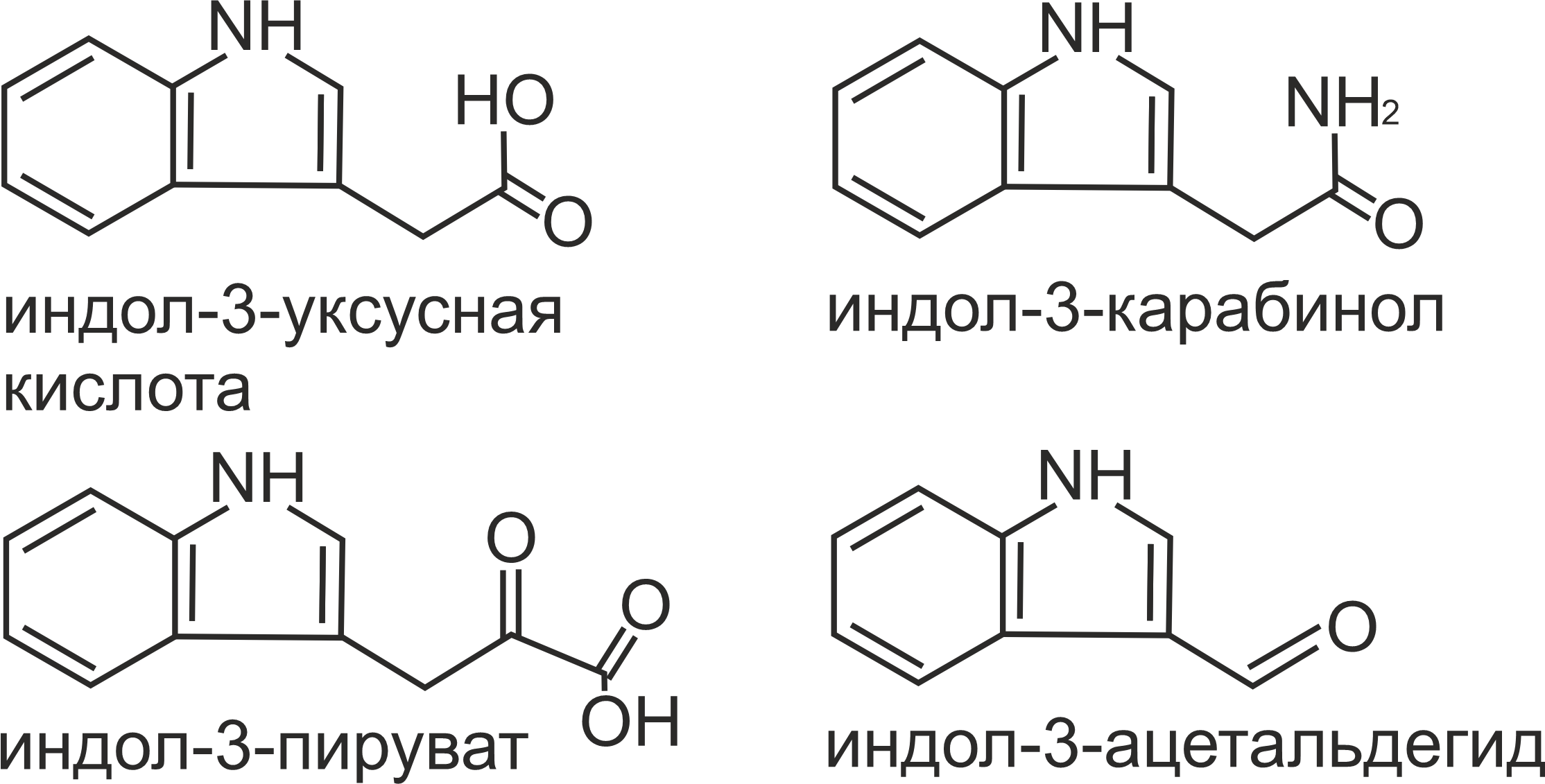 Ауксин (индол-3-уксусная кислота) и его производные