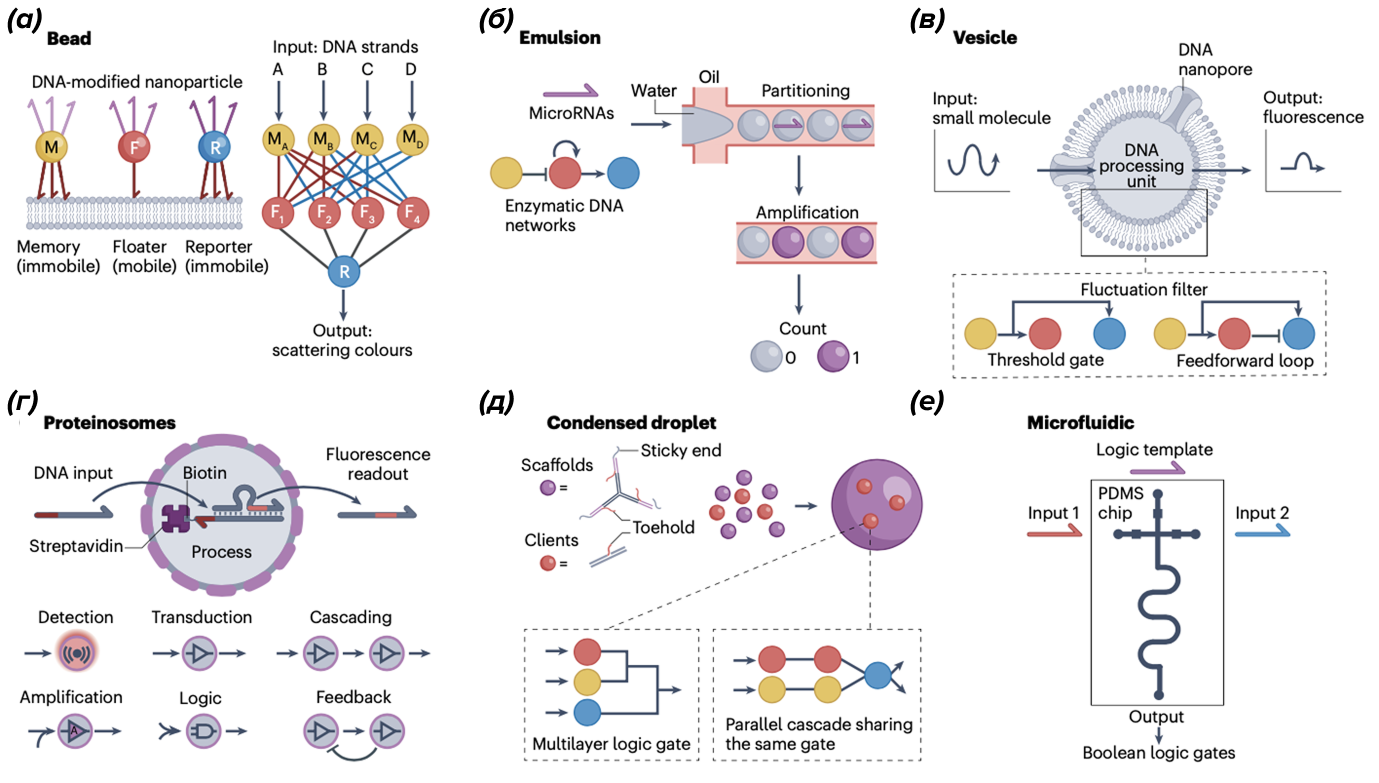 ДНК-вычисления на основе наночастиц и компартментализации