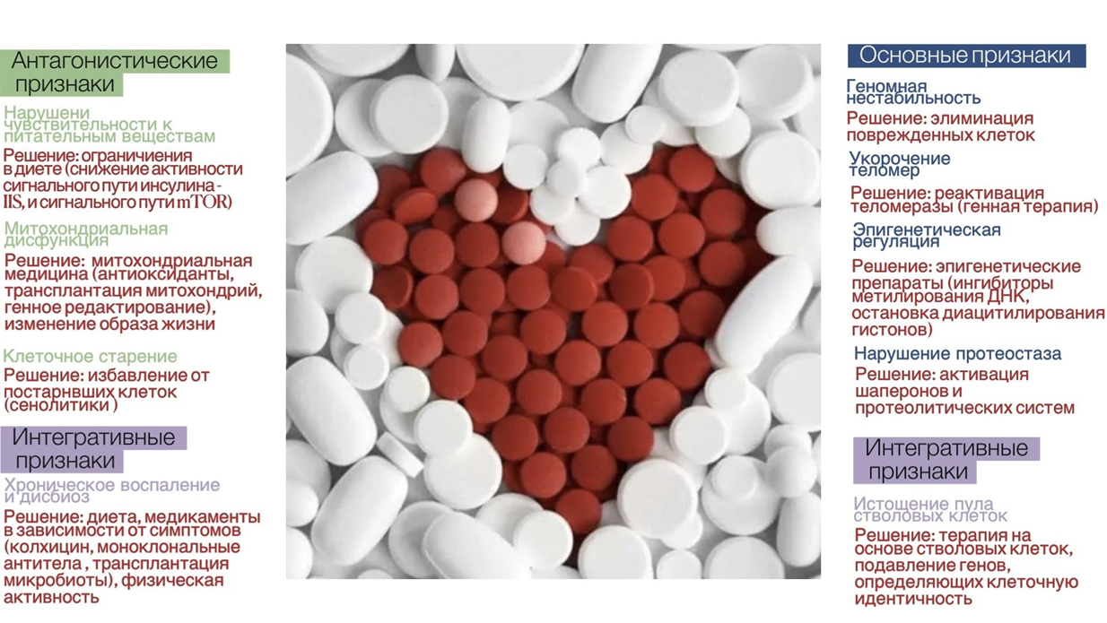 Методы и медикаменты, которые могут помочь в борьбе за долголетие