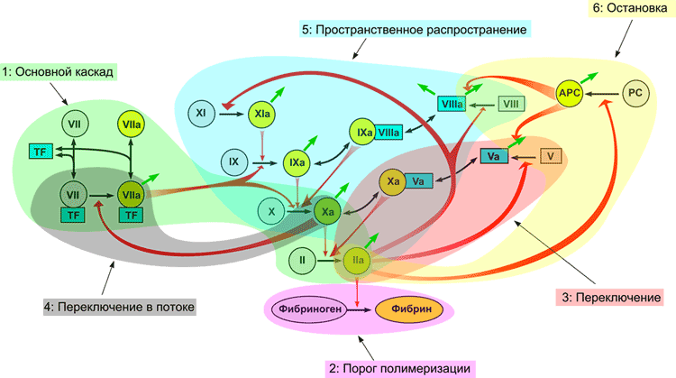 Модульная структура системы свертывания