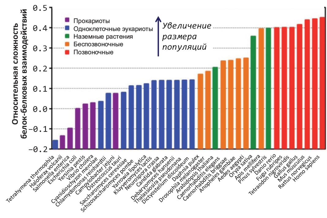 Уменьшение структурной стабильности увеличивает сложность белок–белковых взаимодействий