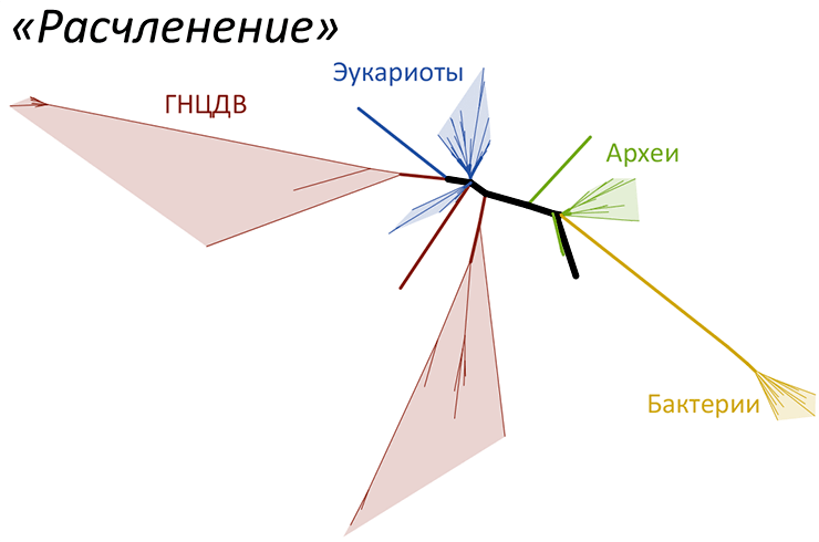 Установление родства