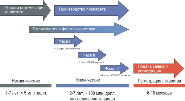 Процесс разработки нового лекарства