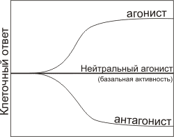 Три типа влияния лигандов на клеточный ответ