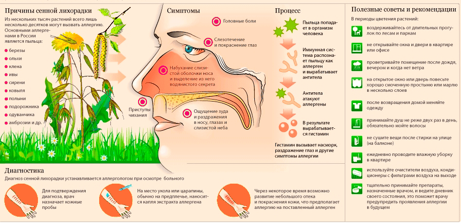 Причины, симптомы и профилактика сенной лихорадки