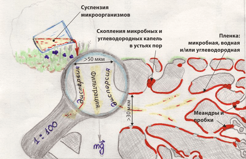 Поровое пространство грунта