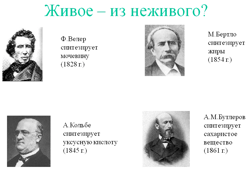 Живое — из неживого?