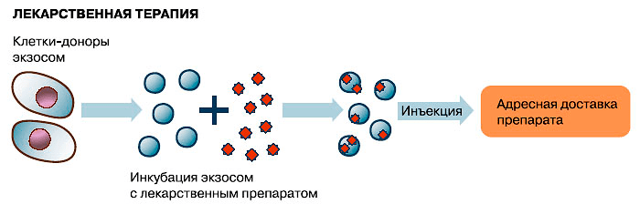 Терапия интерферирующими РНК