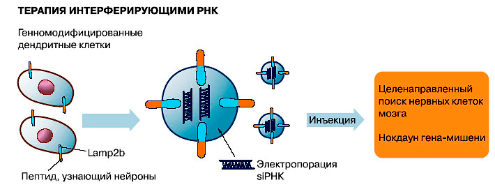 Лекарственная терапия