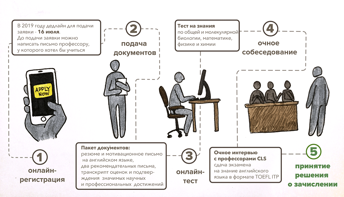 Пошаговая инструкция для поступления в магистратуру CLS