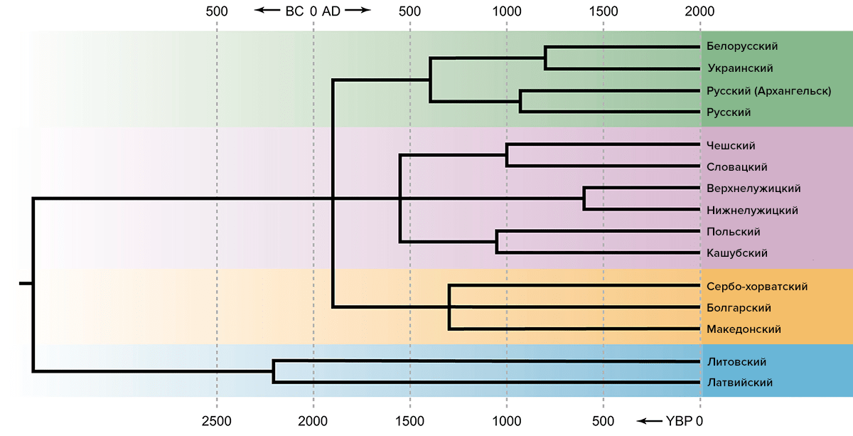 Филогенетическое дерево балтославянских языков