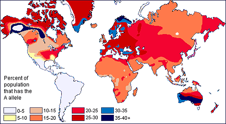 Частота встречаемости аллеля A