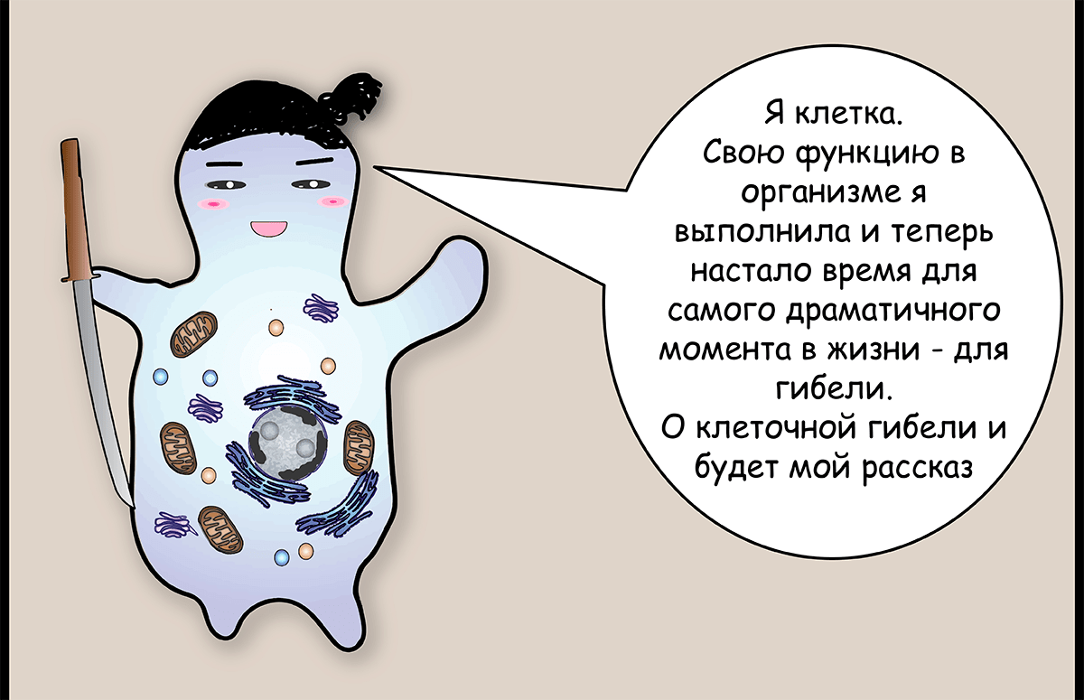 Апоптоз, или Путь самурая