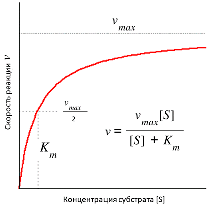 Уравнение Михаэлиса—Ментен